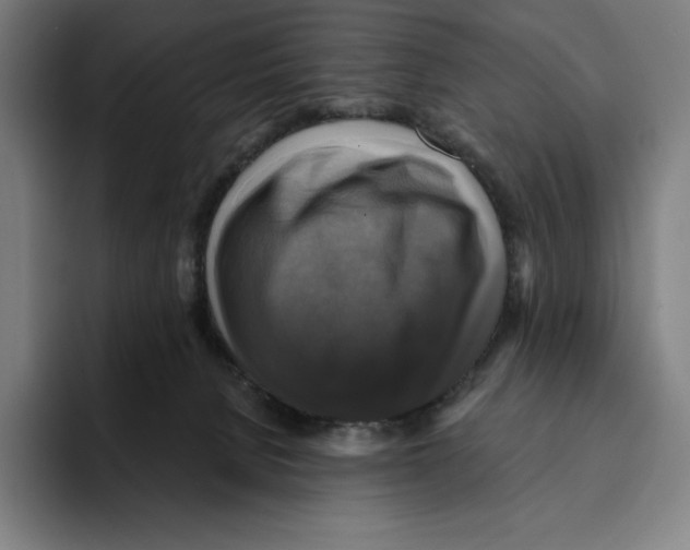 X0000094900080200712271501