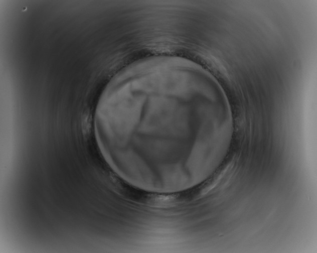 X0000094900081200712271501