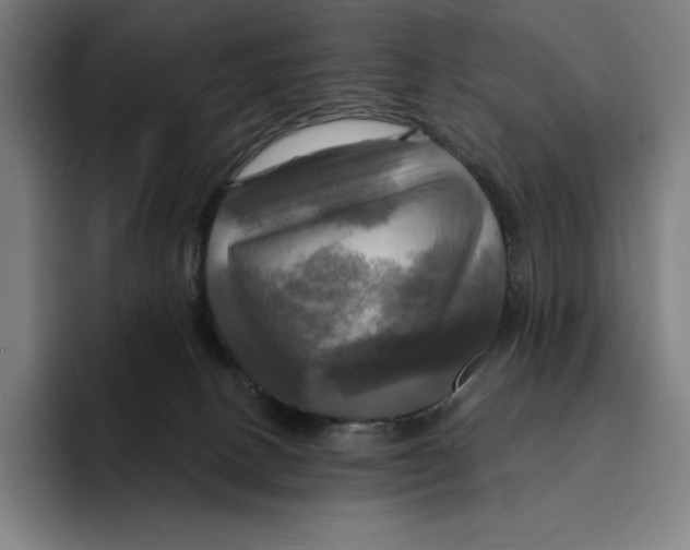 X0000094900082200712271501