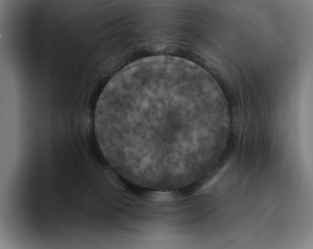 X0000094900085200712271501