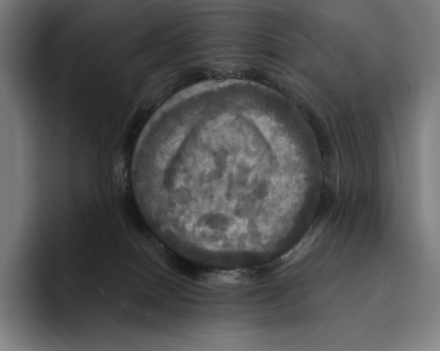 X0000094900086200712271501