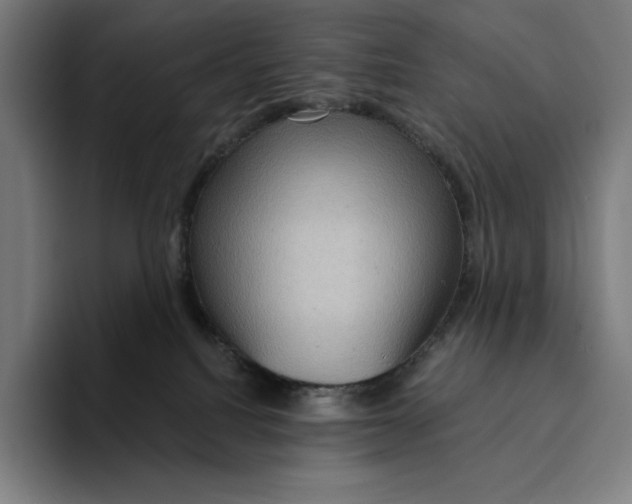 X0000094900088200712271501