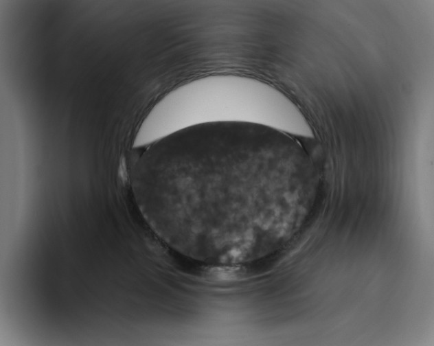 X0000094900089200712271501