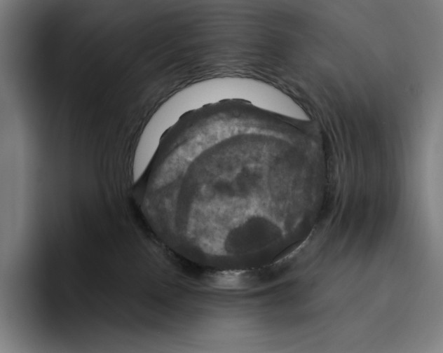 X0000094900090200712271501