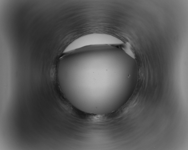 X0000094900092200712271501