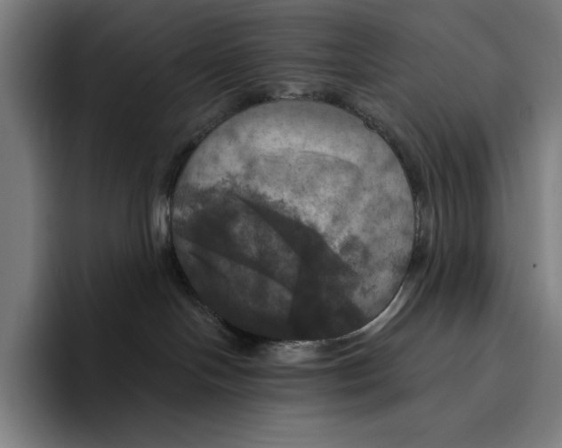 X0000094900094200712271501
