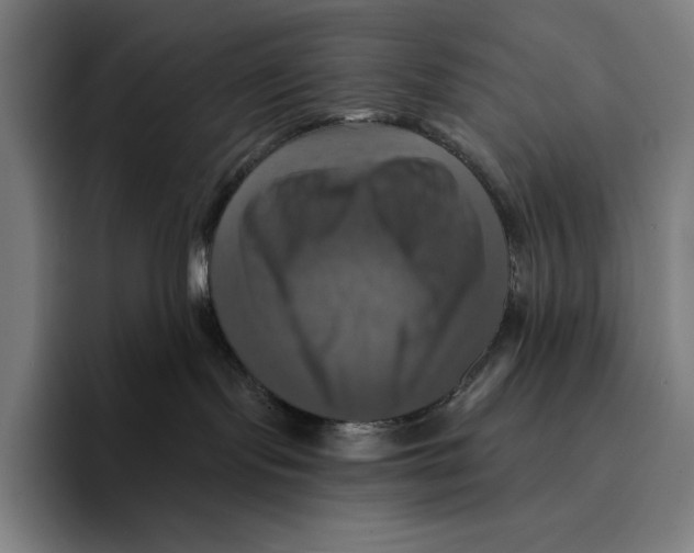 X0000094900095200712271501