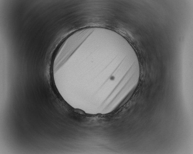 X0000094900098200712271500