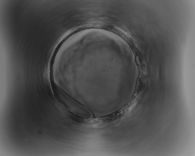 X0000094900100200712271500