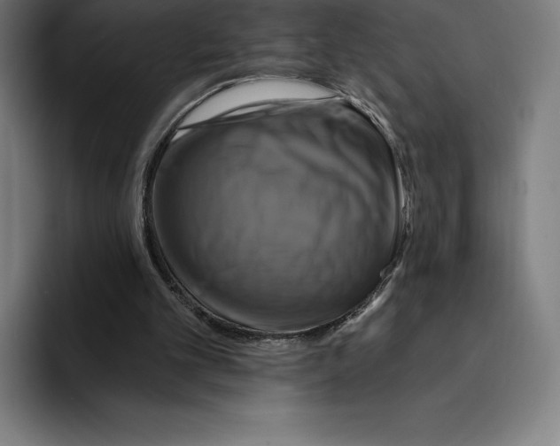 X0000094900101200712271500