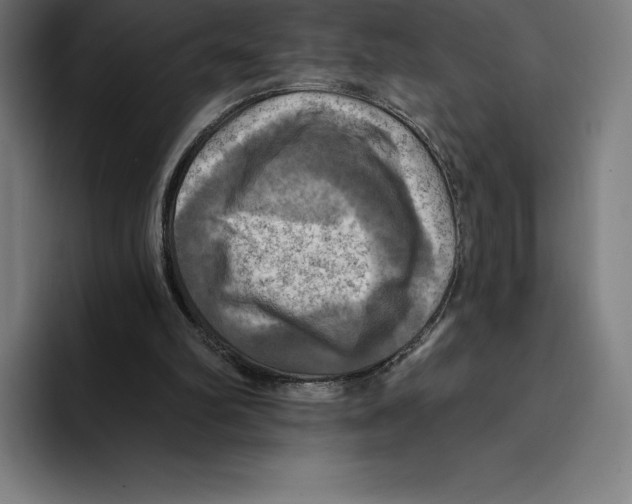 X0000094900102200712271500