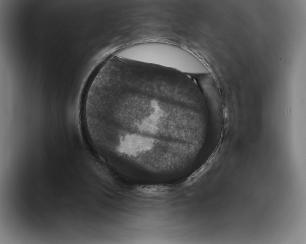 X0000094900104200712271500