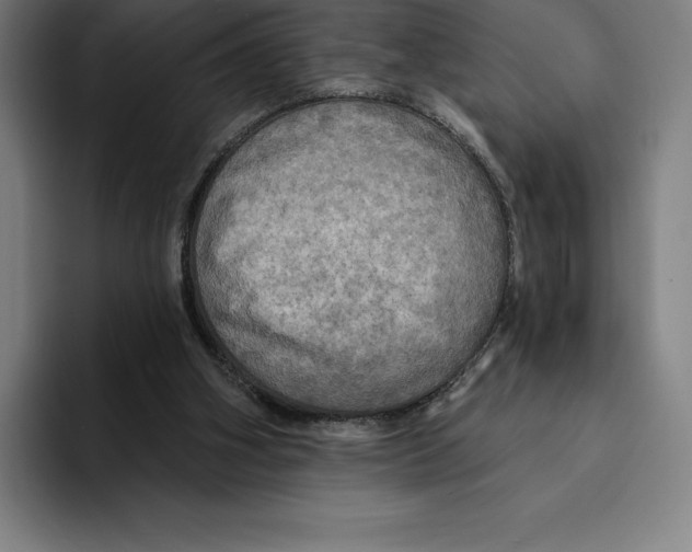 X0000094900106200712271500