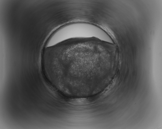X0000094900108200712271500