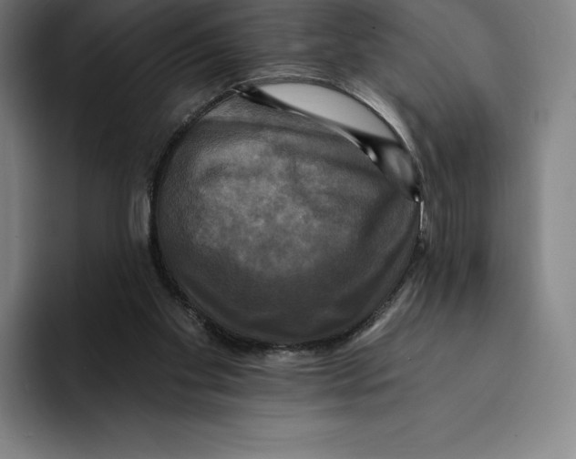 X0000094900109200712271500