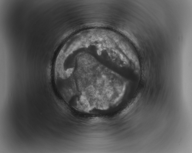 X0000094900111200712271500