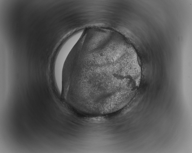 X0000094900112200712271500