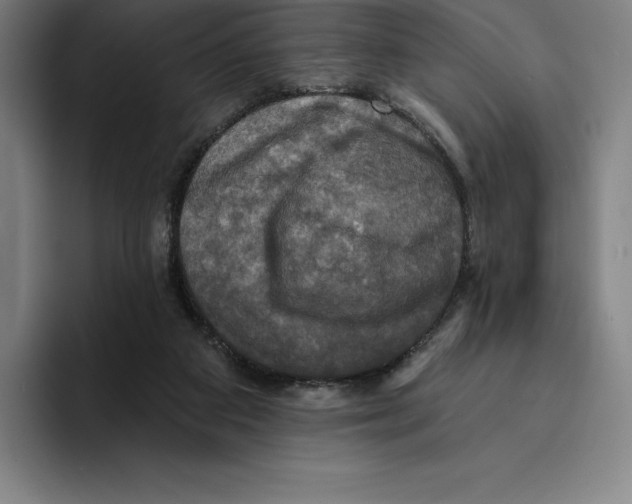 X0000094900113200712271500