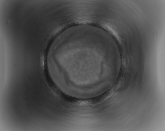 X0000094900115200712271500