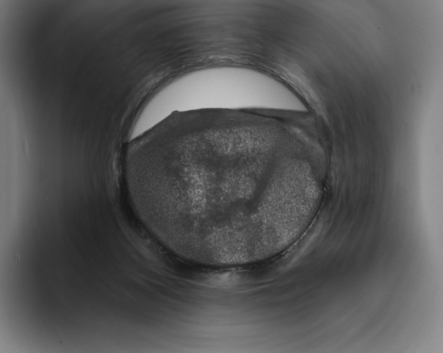 X0000094900116200712271500