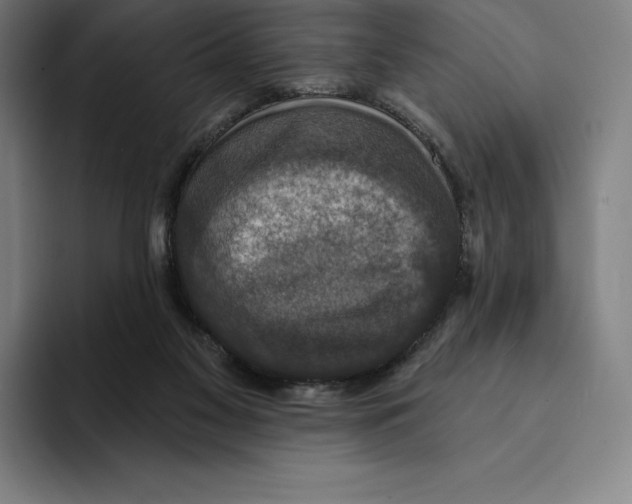 X0000094900117200712271500