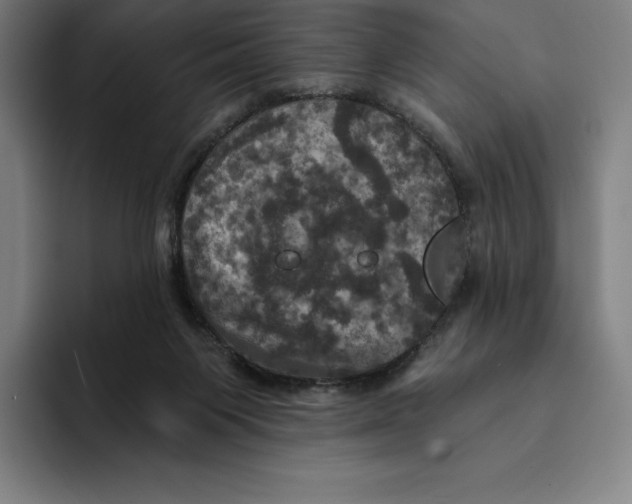 X0000094900119200712271500