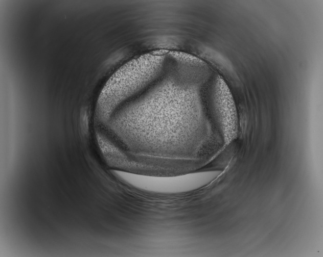 X0000094900120200712271500