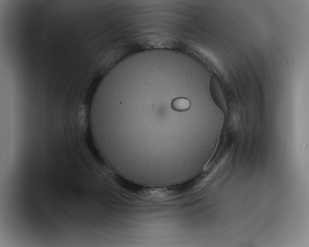 X0000094900121200712271500