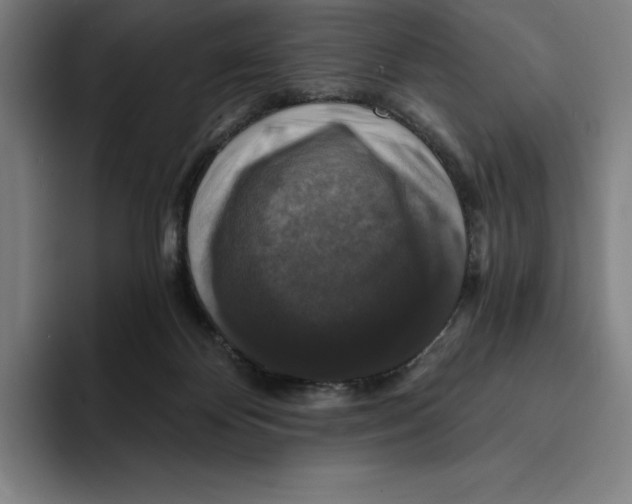 X0000094900124200712271500