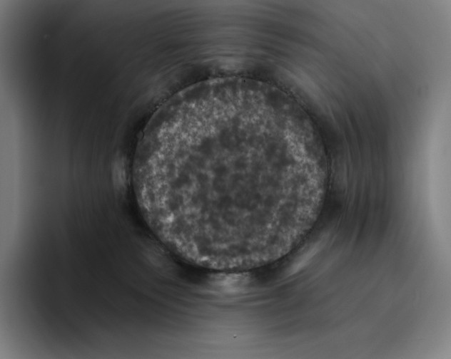 X0000094900135200712271500