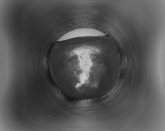 X0000094900136200712271500