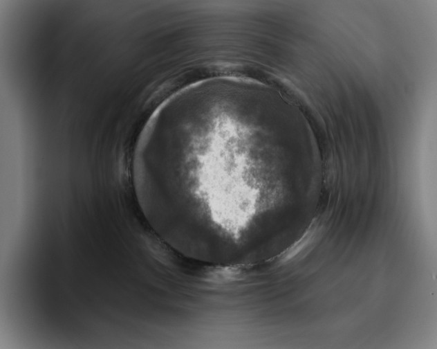 X0000094900140200712271500