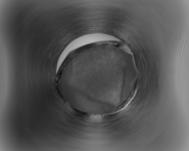 X0000094900144200712271500