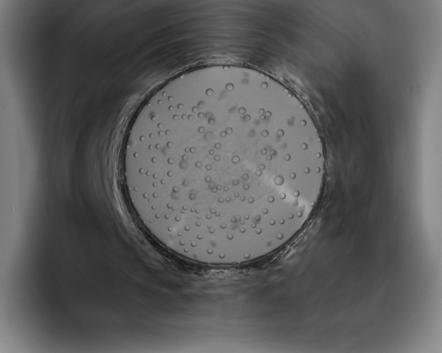 X0000094900145200712271459