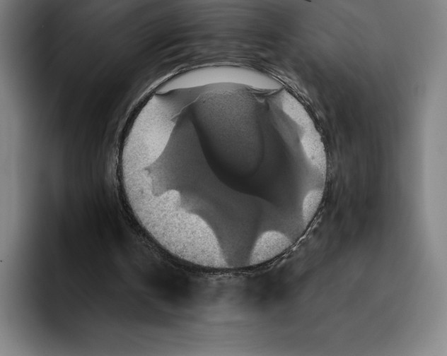 X0000094900146200712271459