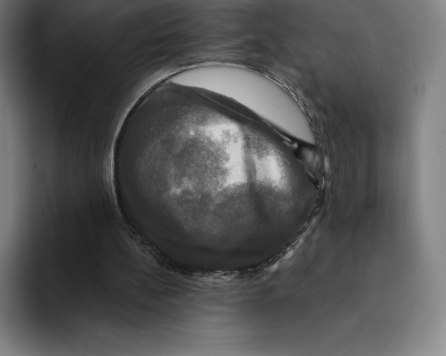 X0000094900148200712271459