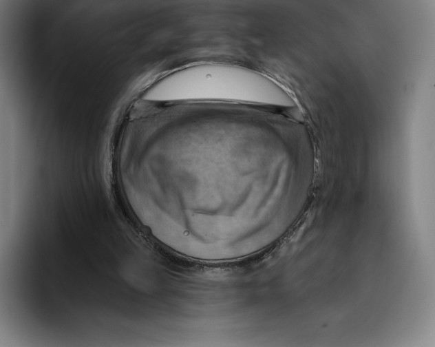 X0000094900149200712271459