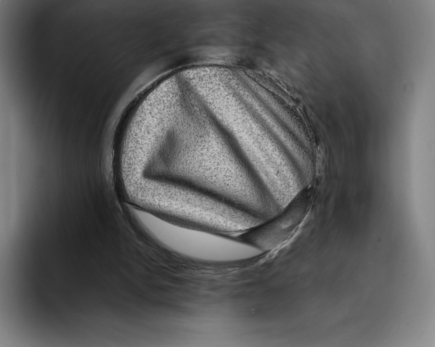 X0000094900150200712271459