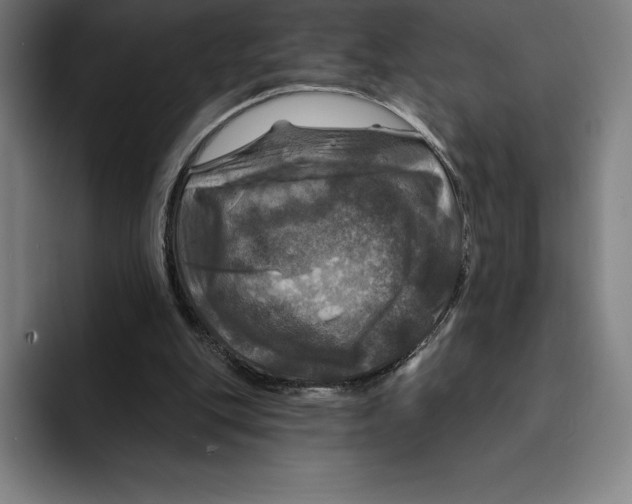 X0000094900151200712271459