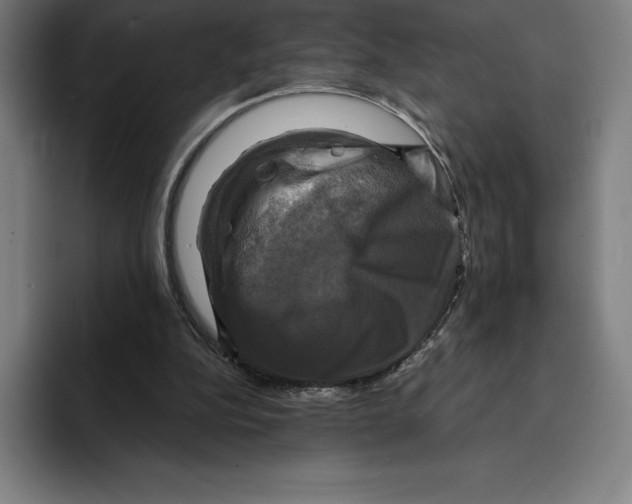 X0000094900152200712271459