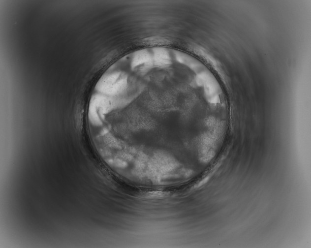X0000094900153200712271459
