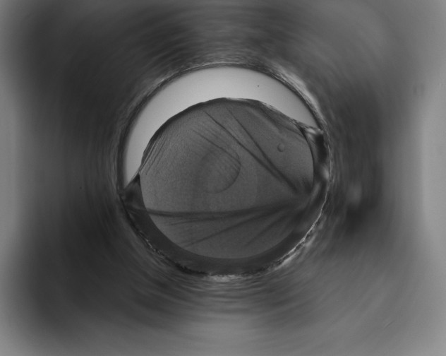 X0000094900154200712271459