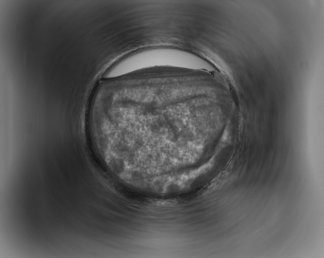 X0000094900155200712271459