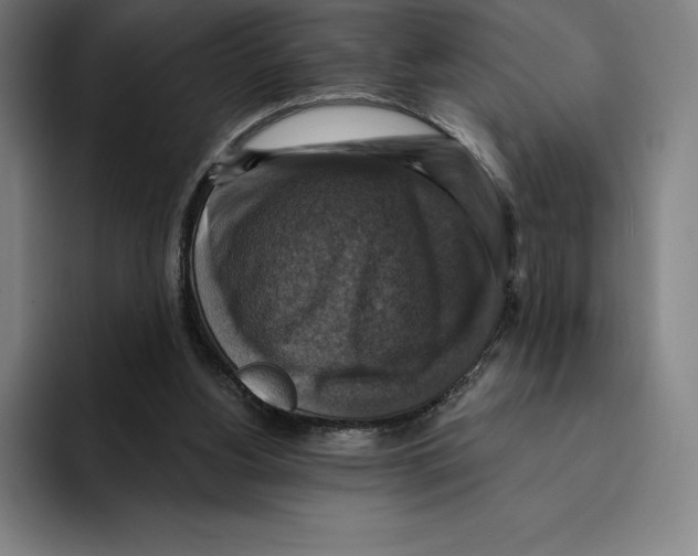 X0000094900156200712271459
