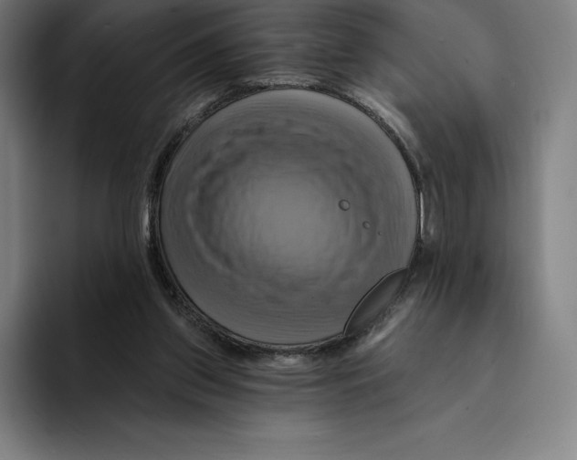 X0000094900157200712271459