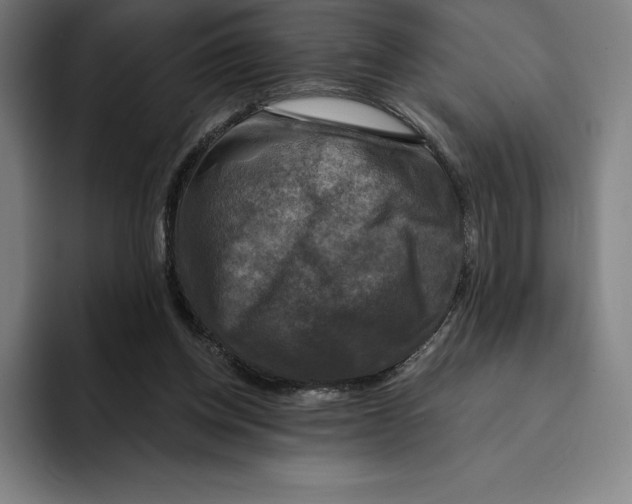 X0000094900158200712271459