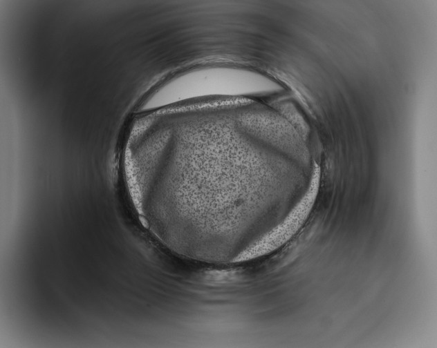 X0000094900160200712271459