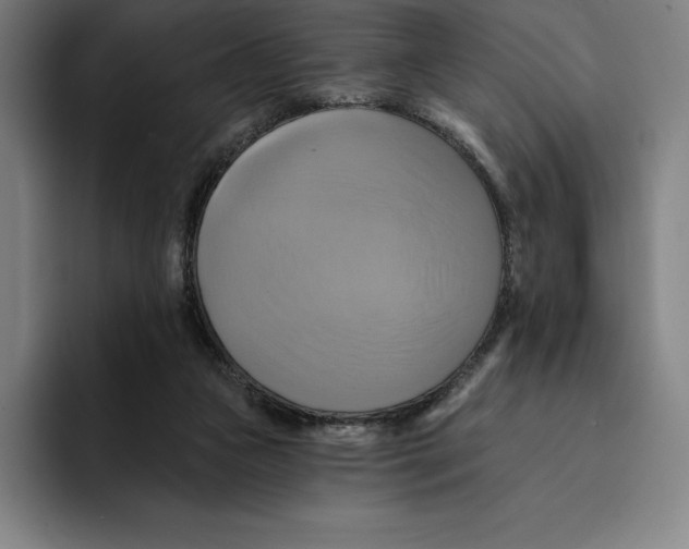 X0000094900161200712271459