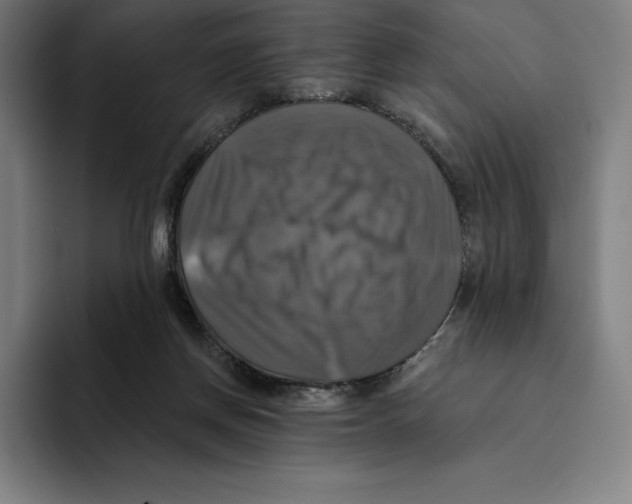 X0000094900166200712271459
