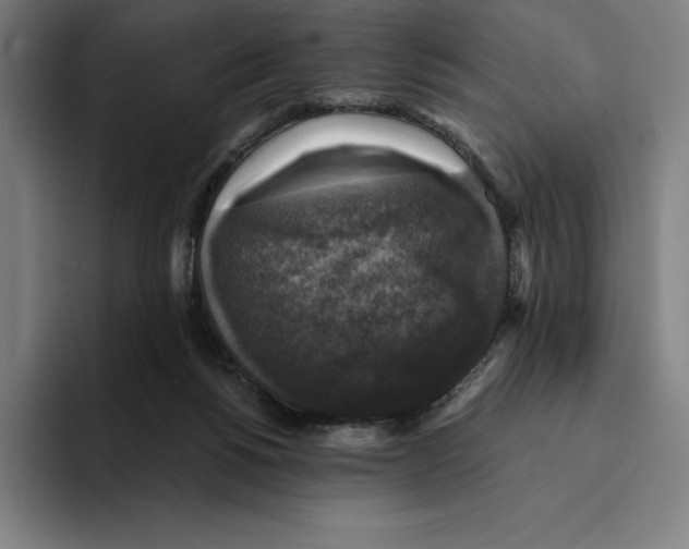 X0000094900168200712271459